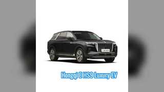Hongqi E-HS9 7 Koltuklu EV SUV Uzun Menzilli