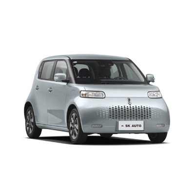 ORA Beyaz Kedi Mini EV Arabaları Aile Kızı Yeni Enerji Aracı 102km/H