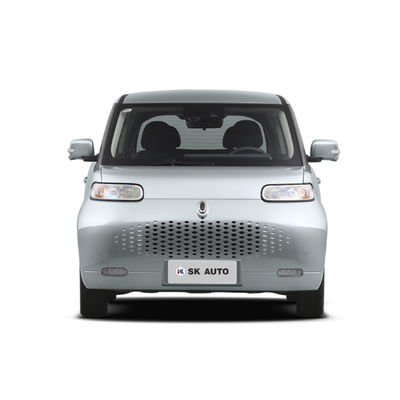ORA Beyaz Kedi Mini EV Arabaları Aile Kızı Yeni Enerji Aracı 102km/H