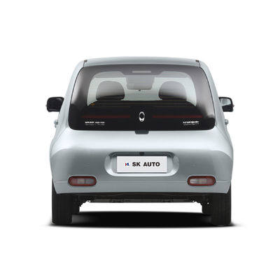 ORA Beyaz Kedi Mini EV Arabaları Aile Kızı Yeni Enerji Aracı 102km/H