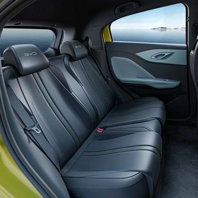 5 Koltuklu BYD EV Araç Enerji tasarrufu, iç mekan özellikleri Temiz Enerji Elektrikli Araba Deniz martı