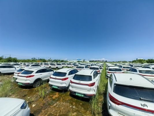 Kullanılmış 400km 160kW elektrikli SUV Weltmeister ikinci el araba iyi durumda düşük kilometrelik siyah