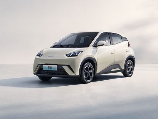 2025 Yeni Model BYD Seagull Hızlı Şarj Elektrikli Araç Sıcak Satış Mini EV Uzun Menzilli ve Büyük Pil 405KM